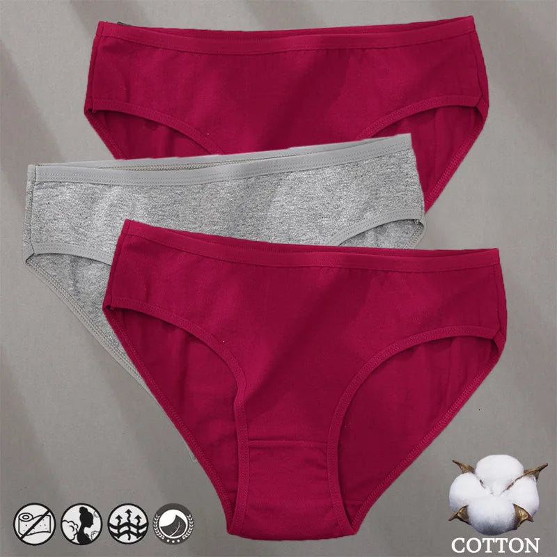 Elegant Jacquard Seamless Cotton Briefs - 3 Pack