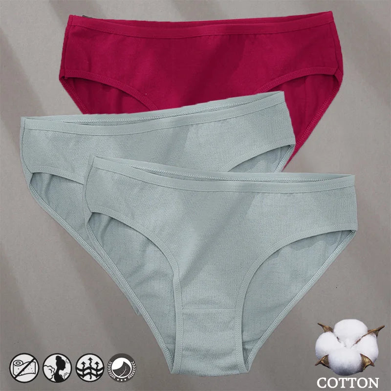 Elegant Jacquard Seamless Cotton Briefs - 3 Pack