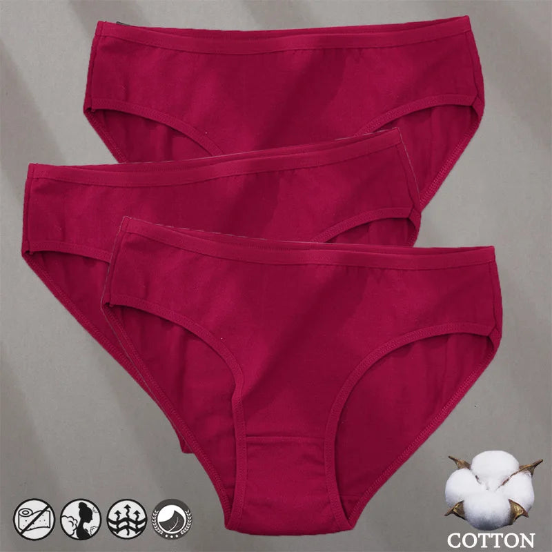 Elegant Jacquard Seamless Cotton Briefs - 3 Pack