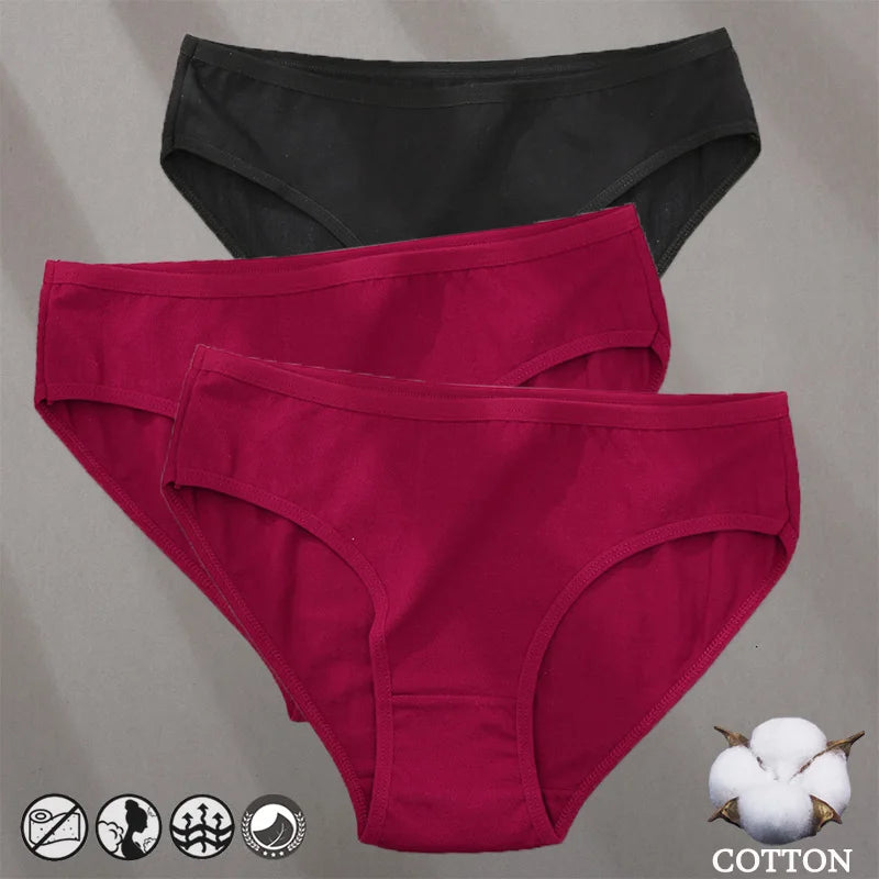 Elegant Jacquard Seamless Cotton Briefs - 3 Pack