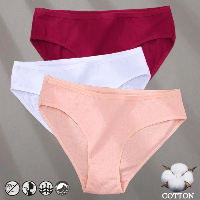 Elegant Jacquard Seamless Cotton Briefs - 3 Pack