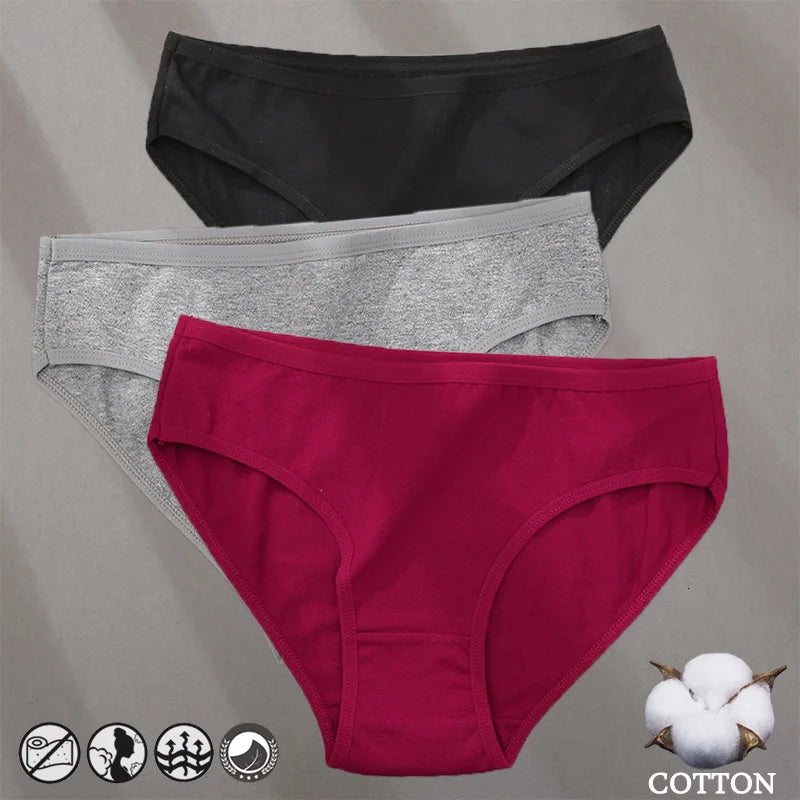 Elegant Jacquard Seamless Cotton Briefs - 3 Pack