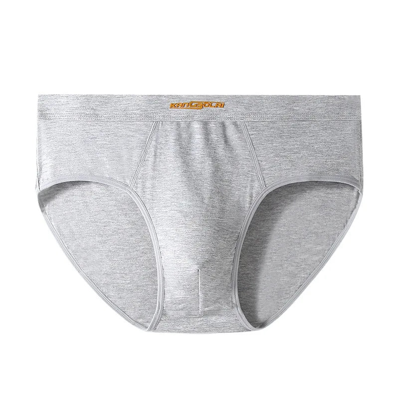 Premium Ultra-Soft Modal Men's Briefs