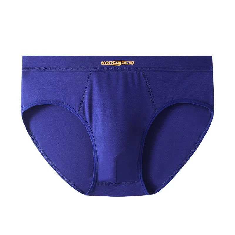 Premium Ultra-Soft Modal Men's Briefs