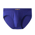 Premium Ultra-Soft Modal Men's Briefs