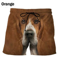 Safari Aura Beach Shorts – Premium Quick-Dry Swim Trunks