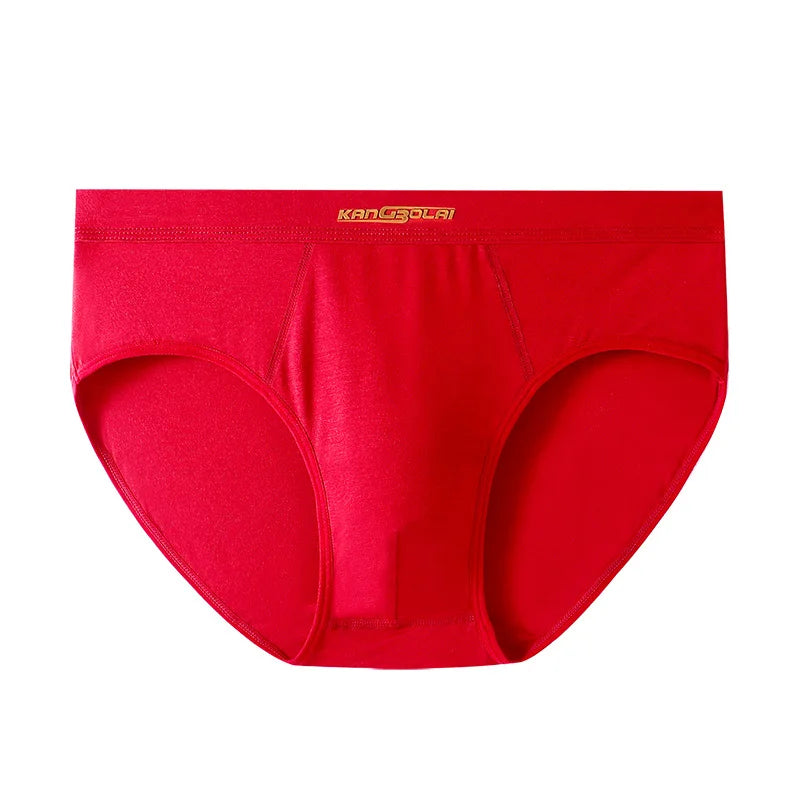 Premium Ultra-Soft Modal Men's Briefs