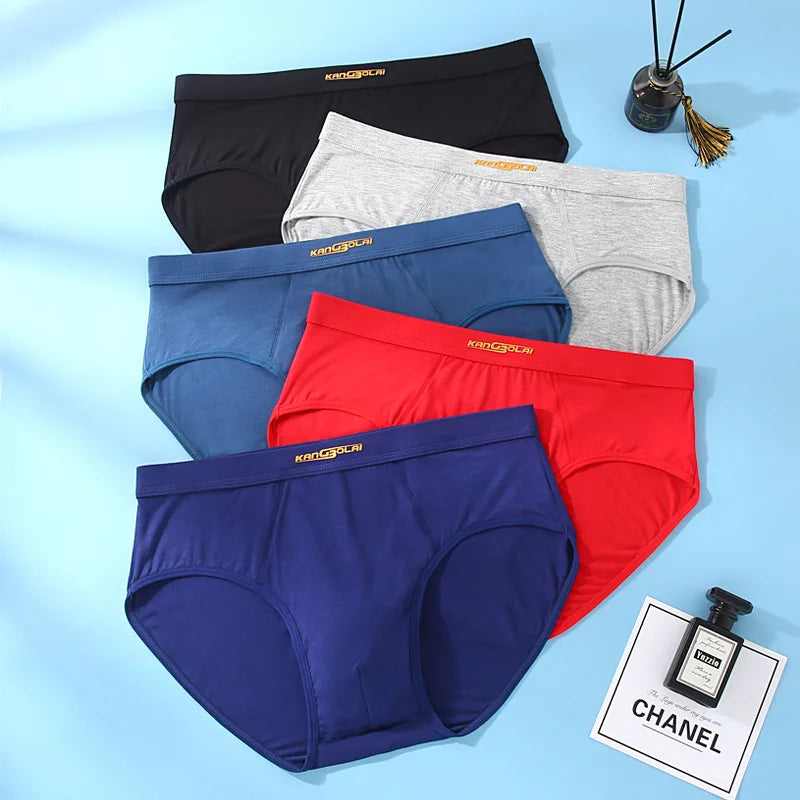 Premium Ultra-Soft Modal Men's Briefs