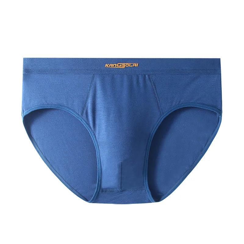 Premium Ultra-Soft Modal Men's Briefs